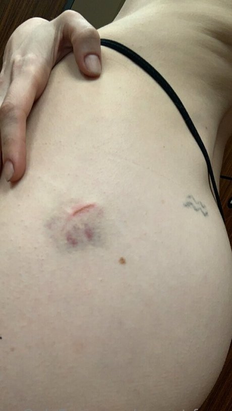 sunset fawn star free gallery