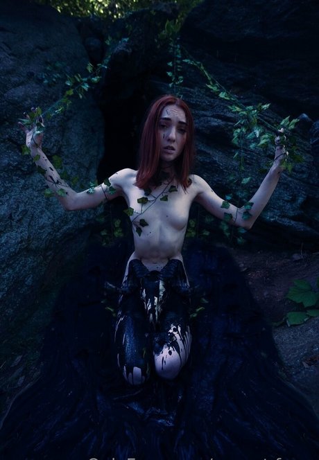 sunset fawn star beautiful pictures