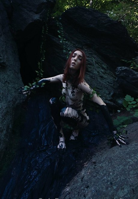 sunset fawn art star pictures