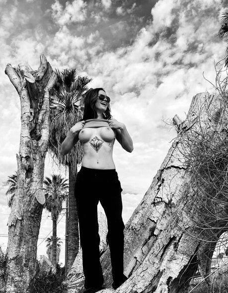 portiaa high quality star images