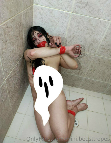 mini beast ropes nice star photos