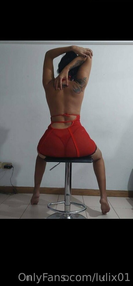 lulix01 best model pics