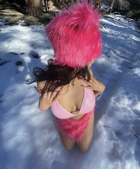 pureflesh star art archive