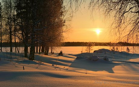 jilseponiepanties nudes model gallery