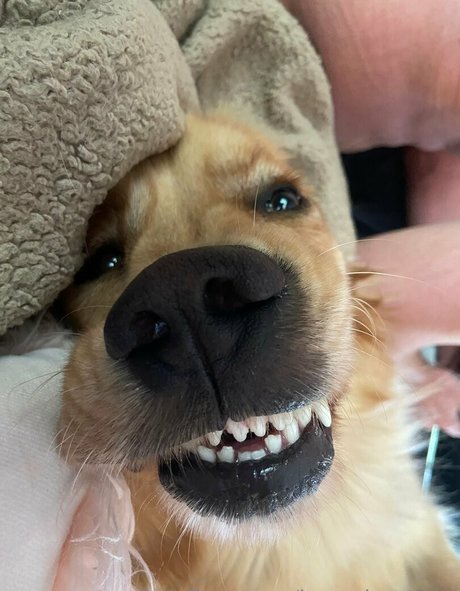 kayyybearfree actress archive