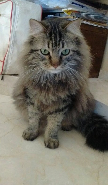 Vera Kaludi pornstar erotic photos