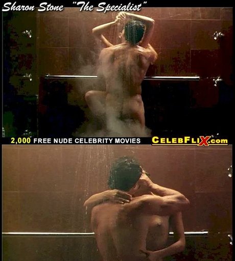 Sharon Stone actress pic