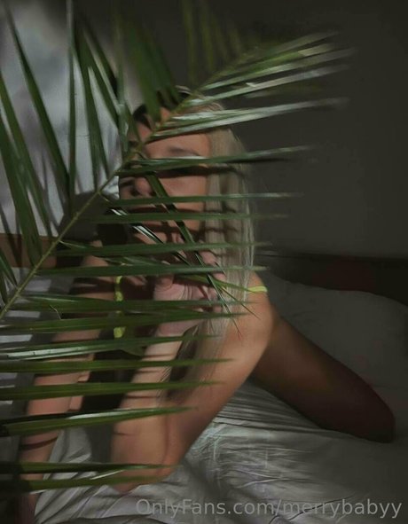 merrybabyy pornstar nudes picture