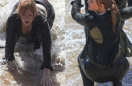 Bryce Dallas Howard model nude picture