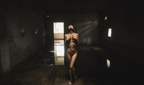 Charry Jin model img