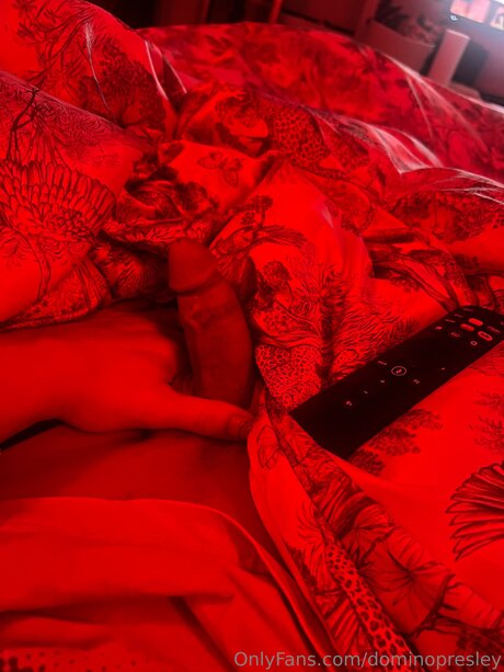 dominopresley star sexy image