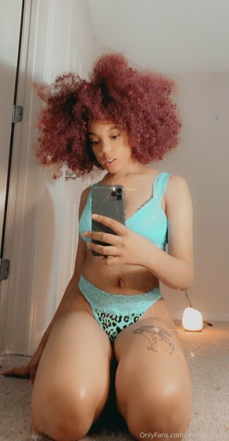 shinobufanclub model top image