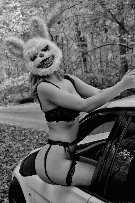 dinosaucers pornstar perfect image