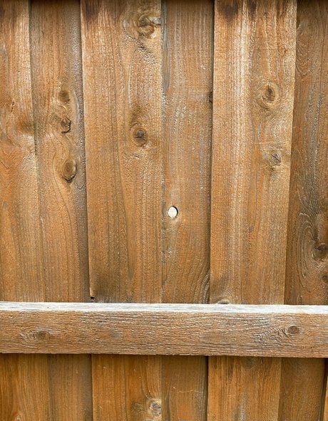 ambiyah sexy pornstar image