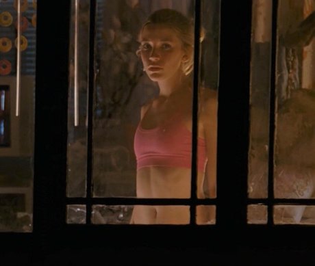 Sarah Roemer pornstar nudes picture