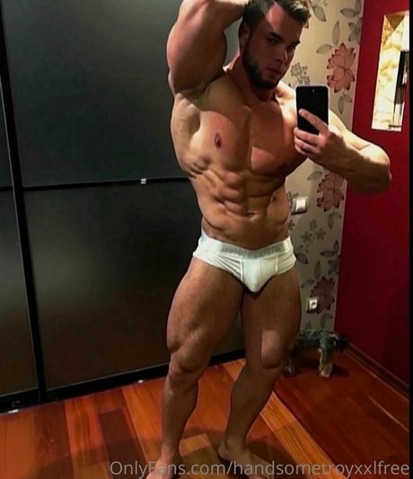 handsometroyxxlfree sex star image