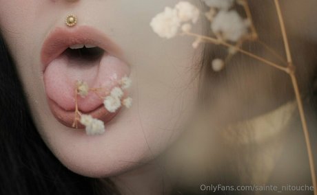 sainte nitouche pornstar sexy archive