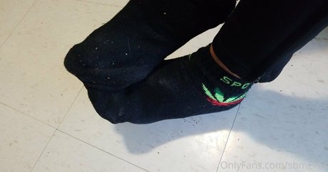 sbmeros art star images