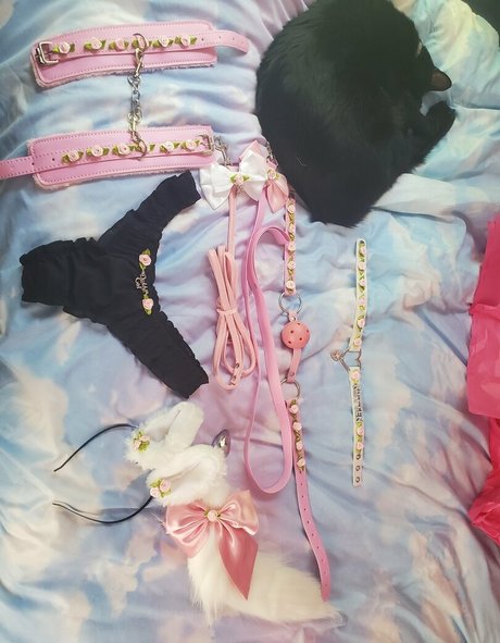 flow3r kitt3n model high quality pictures