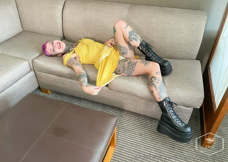 travelswithgrey star pretty image