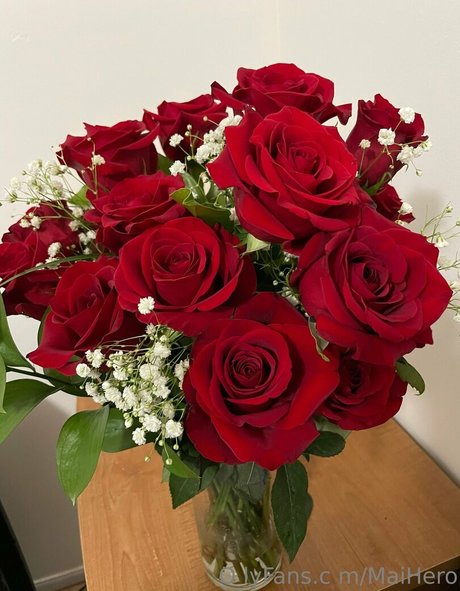 maihero star pornographic pics