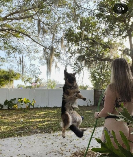 Cherrycgames adult actress pictures