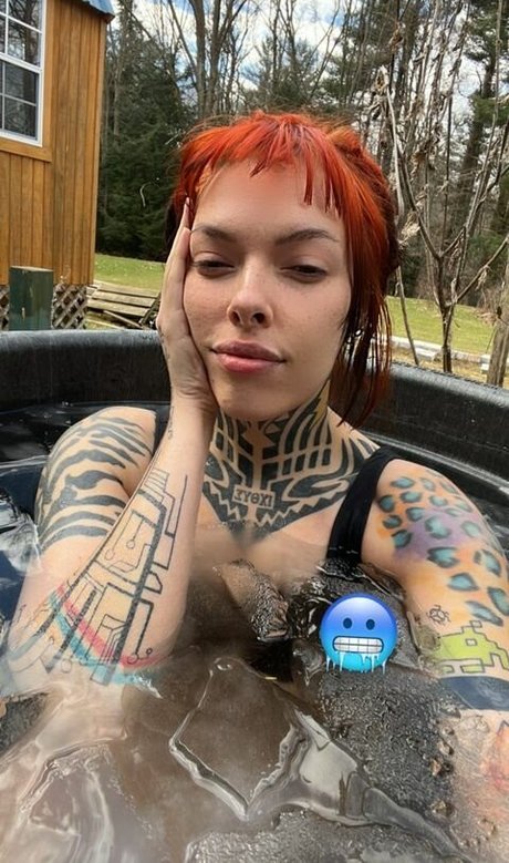 Torierobot star photos