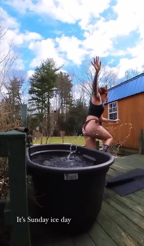 Torierobot star top pictures