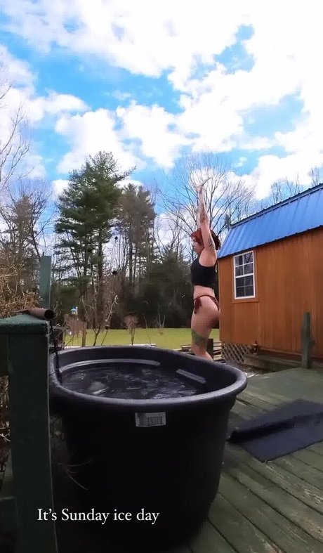 Torierobot perfect star photos