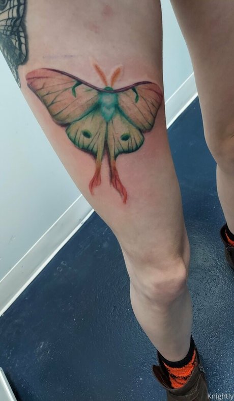 the waaa model perfect images