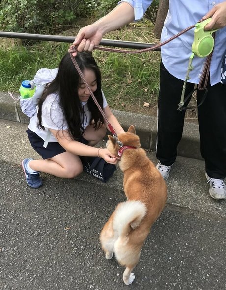 strawberry soju princess pornographic model picture