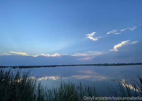 toxicannabella star nude galleries