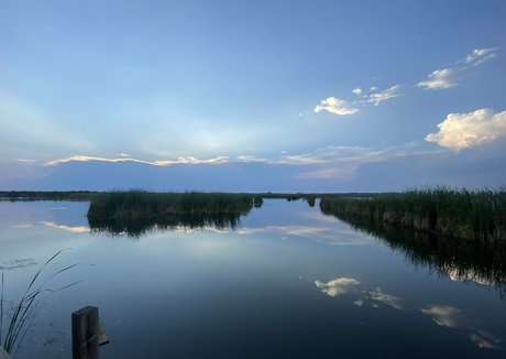 toxicannabella erotic model pic