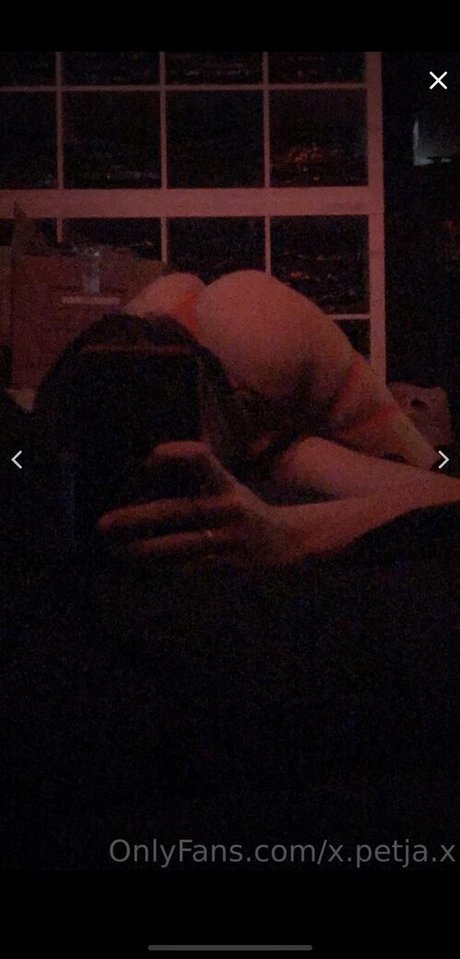 x petja x model art gallery