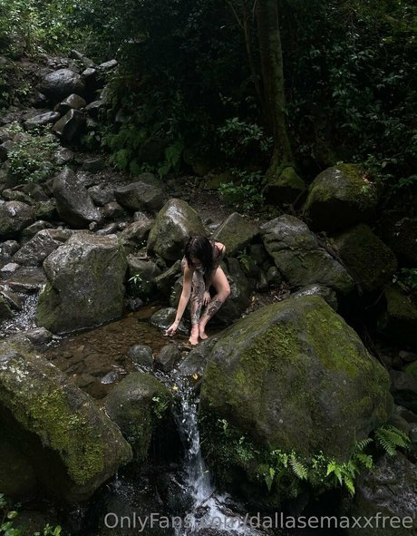 dallasemaxxfree star high quality img