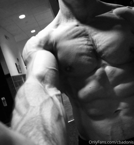 cbadonis porn actress gallery