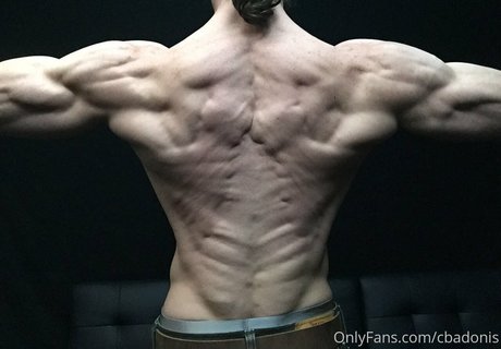 cbadonis model hot archive