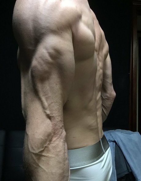 cbadonis art pornstar galleries