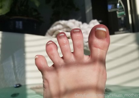 mycelium mother pornstar best pics