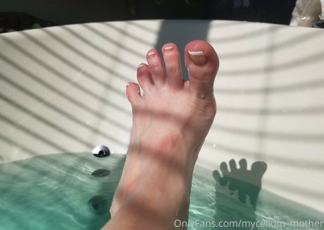 mycelium mother pretty star photo