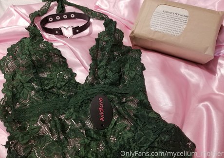 mycelium mother hd star image