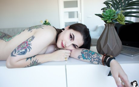 Douji free model pictures