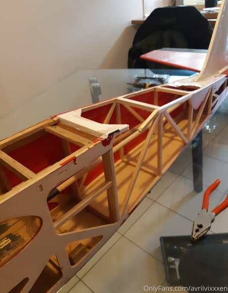 avrilvixxxen adult model picture