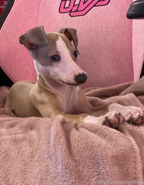 LexiGraham pornstar nice gallery