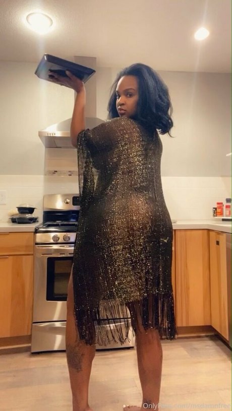 msdamnfree star free images