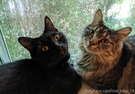 foxygamergurl model best pics