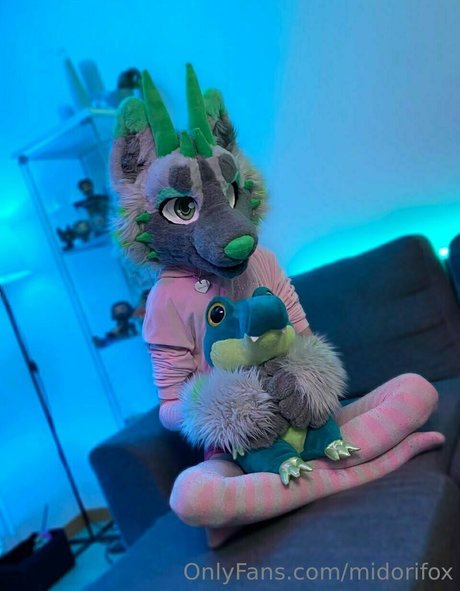 midorifox model best images