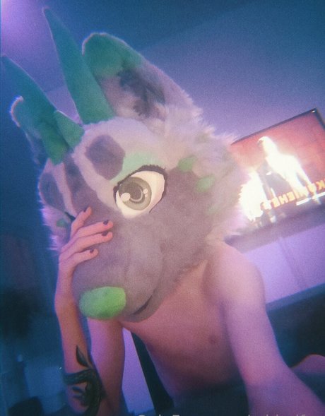 midorifox high quality star gallery