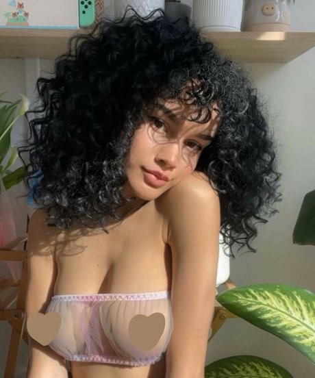 Thekorokfairy star hd gallery