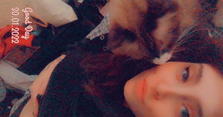 etheral pizza high quality model img